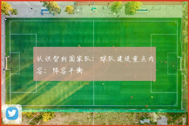 认识智利国家队：球队建设重点内容：阵容平衡