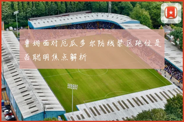 鲁姆面对厄瓜多尔防线禁区跑位是否聪明焦点解析